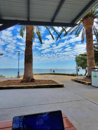 Auto-generated description: Palm trees line a coastal walkway with a view of the ocean under a partly cloudy sky, while a digital device displaying the time is visible in the foreground.