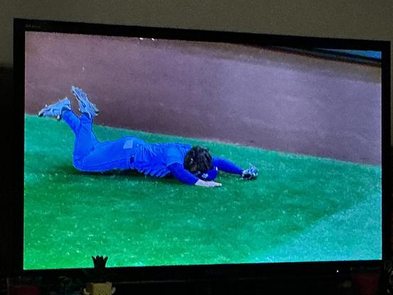 A blue jays player, Addison Barger, does a faceplant into the right field grass as he dives and slides belly first after catching a fly ball on the run.