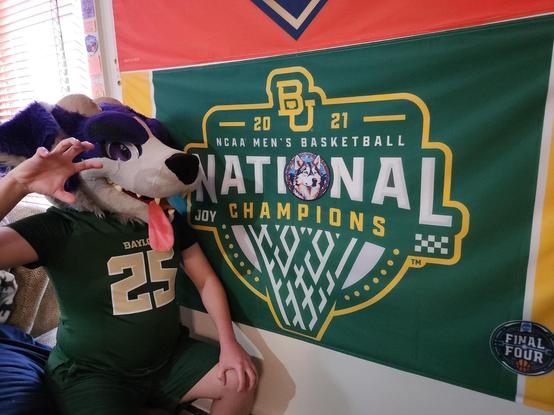 Me in my fursuit head, doing a SIC 'EM BEARS, in a Baylor football jersey, in front of our men's basketball national championship flag