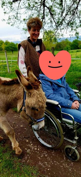 En Isère, en France, Sally, une jolie petite ânesse, marche très concentrée à côté d'une femme assise dans en fauteuil roulant. Je pousse le fauteuil en souriant sur un chemin de terre.