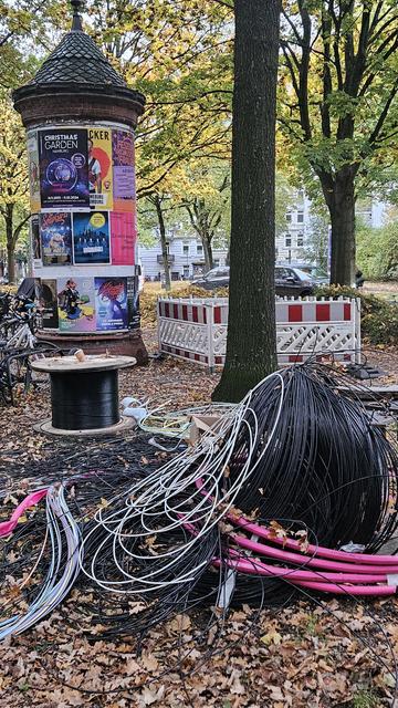 Photo von chaotisch rumliegenden Glasfaserleitungen, teilweise verdeckt durch Herbstlaub. Im Hintergrund Bäume, eine Littfasssäule und eine Bauabsperrung.