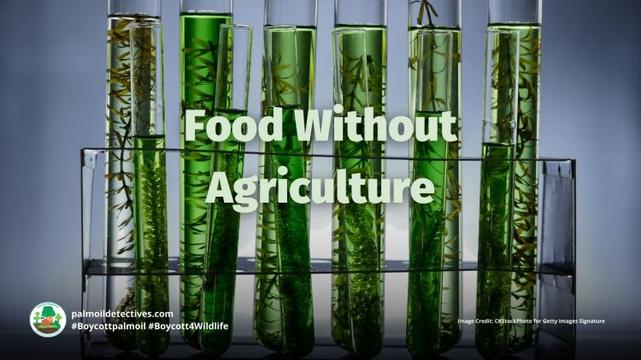 Food without agriculture research