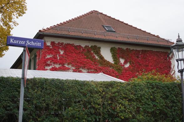 Hauswand, grellrote Ranken, mit Farbverlauf ins Grüne in der Mitte 
Davor Straßenschild "Kurzer Schritt"