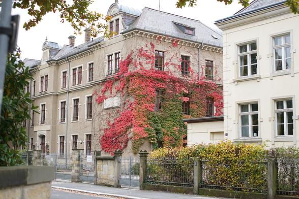 Weiteres, beranktes Haus, dieses jedoch deutlich größer und Ranken mit mehr grün