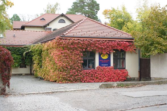 Skibedarfladen, vollständig berankt mit vollem Farbverlauf