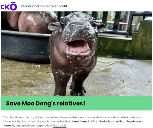 EKO petition: Save Moo Deng's relatives!