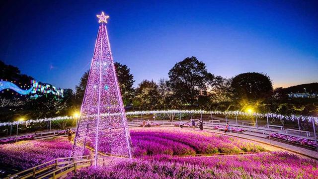 あしかがフラワーパークのイルミネーション「光の花の庭～Flower Fantasy2025-26」。今年は香りの演出も - OZmall