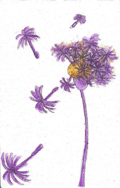 Un pissenlit sur lequel on souffle et qui s'éparpille