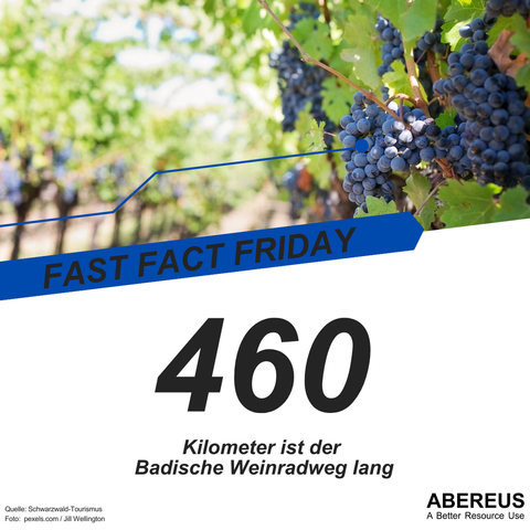 Auf dem Bild ist im Vordergrund auf der rechten Seite eine Rebe mit vielen saftigen, blauen Weintrauben. Darunter steht 460 km ist der Badische Weinradweg lang.