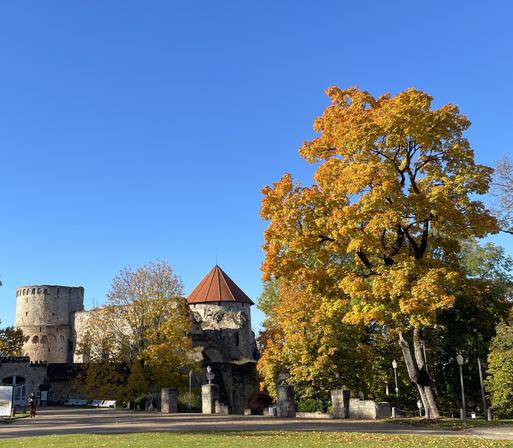 A photograph depicts a stone castle complex under a bright blue sky, with a large deciduous tree in full autumn foliage dominating the foreground. The castle features multiple towers constructed from grey stone, with conical red roofs on at least two of them. The tree, with vibrant orange and yellow leaves, is positioned to the right of the castle, partially obscuring the view of the stone structures. A green grassy lawn stretches out in front of the castle, with a low stone wall and a few decorative stone pillars visible. Several vehicles are parked in the distance behind the castle and a person is visible in the far left of the frame.

Provided by @altbot@fuzzies.wtf, generated privately and locally using Gemma3:27b

🌱 Energy used: 0.102 Wh