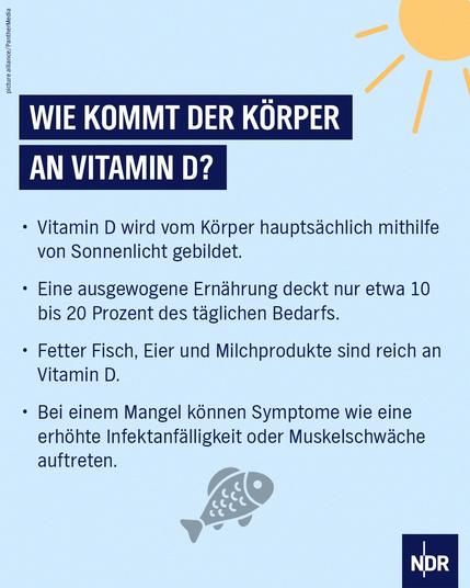 Das Bild ist eine Infografik in den Farben Blau, Weiß und Orange, die das Thema Vitamin D behandelt. Oben rechts ist eine orangefarbene stilisierte Sonne dargestellt. Unten ist eine graue stilisierte Fischform zu sehen. Im Text sind die Hauptwege zur Vitamin-D-Gewinnung, der Beitrag der Ernährung und mögliche Mangelsymptome beschrieben. 

Text:
WIEDER KOMMT DER KÖRPER AN VITAMIN D?

Vitamin D wird vom Körper hauptsächlich mithilfe von Sonnenlicht gebildet.

Eine ausgewogene Ernährung deckt nur etwa 10 bis 20 Prozent des täglichen Bedarfs.

Fetter Fisch, Eier und Milchprodukte sind reich an Vitamin D.

Bei einem Mangel können Symptome wie eine erhöhte Infektanfälligkeit oder Muskelschwäche auftreten.