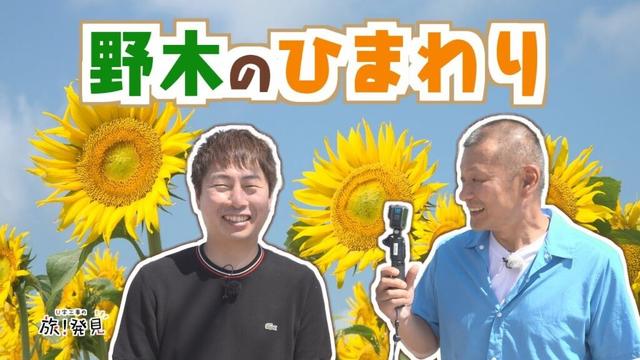 U字工事の旅！発見#307 　野木のひまわり　～栃木県・野木町～