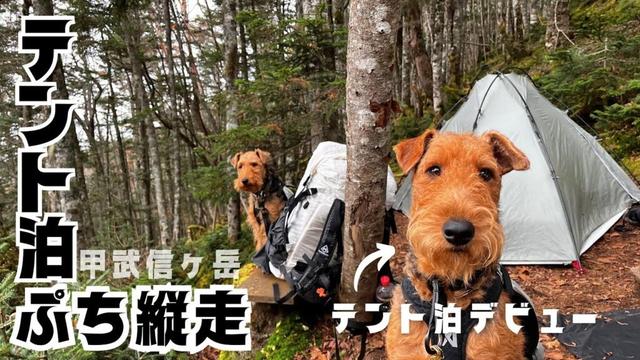 ELK&NOEL 毛木平〜甲武信ヶ岳〜十文字 プチ縦走 ノエルテント泊デビュー！ DAY1  #004 [甲武信ヶ岳] 前編