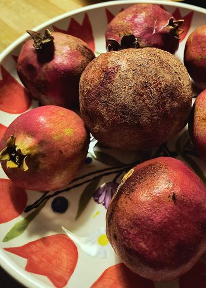 Seven differently shaped ripe pomegranates, red-yellow or reddish-brown in colour, lie in a flat ceramic bowl painted with large red flowers.

In einer mit großen roten Blumen bemalten flachen Keramikschale liegen sieben unterschiedlich geformte  rotgelbe oder rotbraune reife Granatäpfel.