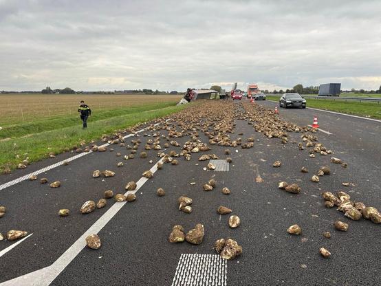 De rechterrijstrook ligt vol met suikerbieten.