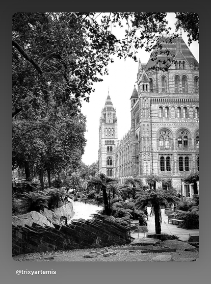 Black and white photo of the Natural History Museum in London, viewed from the new garden. The museum’s grand Romanesque façade rises in the background, framed by leafy trees and landscaped paths in the foreground, creating a contrast between architectural heritage and natural tranquility.