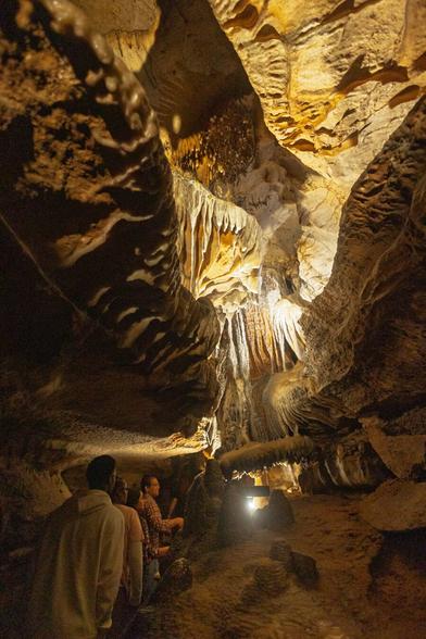 A group of visitors stands deep inside Ruby Falls cave, gazing upward at illuminated rock formations as colored lights shift around them, giving the moment a cinematic feel.