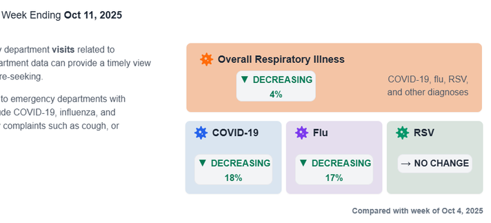 Emergency Department Trends for the Week Ending Oct 11, 2025
Overall Respiratory Illness
▼
Decreasing
4%
COVID-19, flu, RSV, and other diagnoses

COVID-19
▼
Decreasing
18%

Flu
▼
Decreasing
17%

RSV
→
No change
Compared with week of Oct 4, 2025