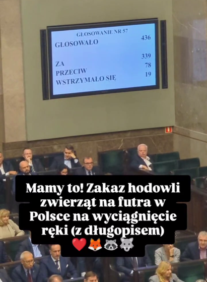 Zdjęcie wyników głosowania w Sejmie ustawy o zakazie hodowli zwierząt na futra. Widać fragment sali plenarnej i siedzące osoby poselskie. Na ekranie widać wyniki głosowania - za 339, przeciw 78,  wstrzymało się 19.
Na zdjęciu ramka z napisem "Mamy to! Zakaz hodowli zwierząt na futra w Polsce na wyciągnięcie ręki (z długopisem)" oraz emoji: czerwone serce, lis, szop, wilk.