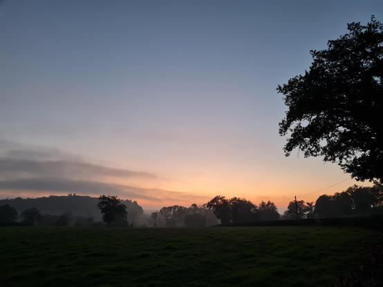 Paysage de bocage juste après le coucher du soleil, avec un chêne sur la droite. Le brouillard qui s'installe fait pâlir l'arrière-plan.