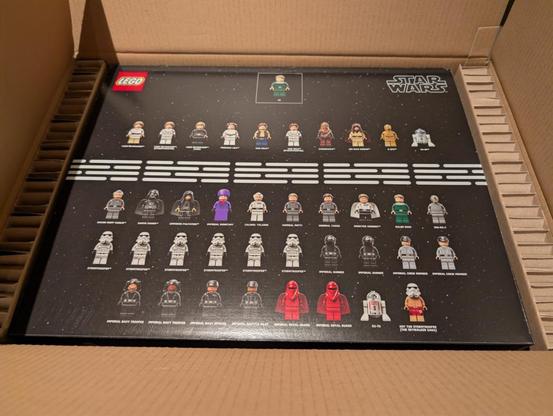 Ein großer Pappkarton in dem ein dunkler Karton mit vielen Lego Minifiguren ist