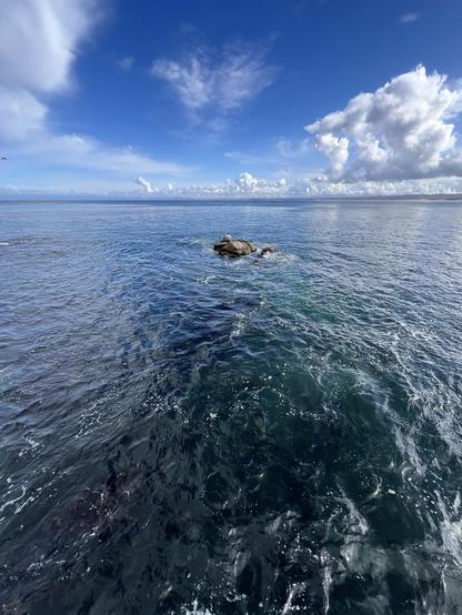 Gorgeous ocean colors and intriguing cloud formations in this photo of the Monterey Bay National Marine Sanctuary following Monday’s rainstorm. The ocean colors include greens, blues, blacks, and whites under an early morning blue sky that holds a variety of white clouds. A small rock with a bird appears in the center of the photo, while a thin line of the coast is visible on the horizon.