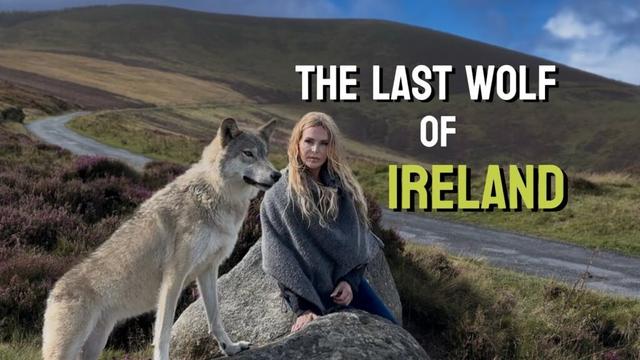 アイルランド最後の狼