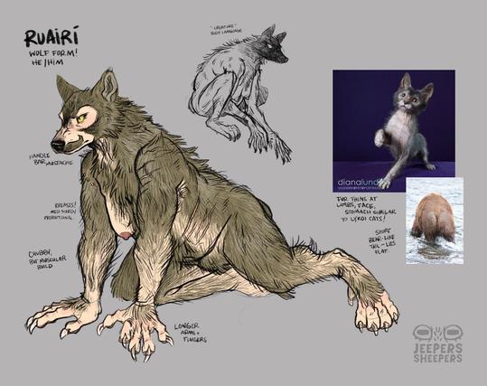 A reference sheet of a blondish trans man werewolf. He is non op with a handlebar mustache. His is scarred and his fur is shaggy, similar to a lykoi cat. He has a nubby tail like a bear. The werewolf is named Ruairí.