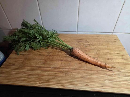 a freshly picked carrot on a wooden cutting board in front of a white tile splashback