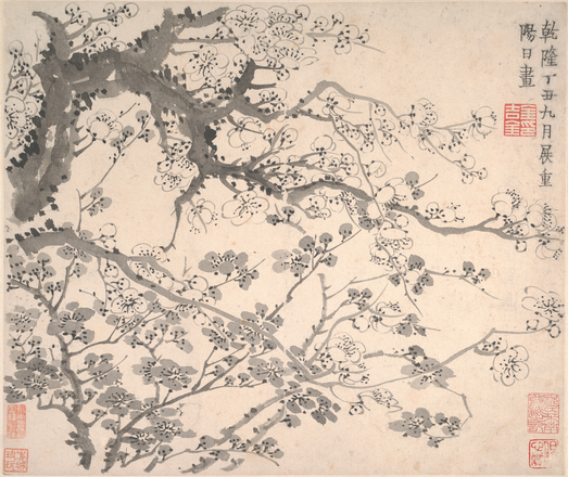 A Qing dynasty Chinese ink-on-paper drawing of plum blossoms bursting from the branches of a tree.