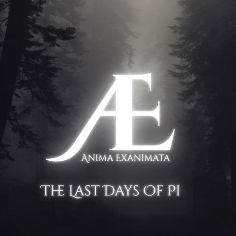 Ein dunkler Wald im Nebel. Zwei große ineinander vermischte Buchstaben: A und E. Die Abkürzung für Anima Exanimata. Das ist der Name meiner Band. Er bedeutet: die leblose Seele. Text darunter  in geschwungenen Buchstaben: The Last Days Of Pi. Das ist der Titel vom Lied.
