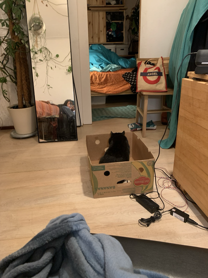 Glorious mess in my house & car in the box