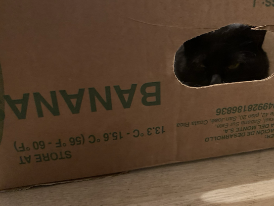 It says BANANA in the box & cats head visible through the hole on the side