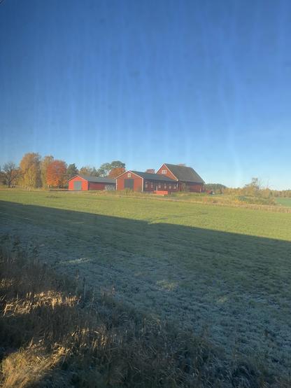A picturesque rural scene featuring a collection of red barns set against a clear blue sky. The foreground has a grassy field with frosty patches, and autumn-colored trees add warmth to the landscape.