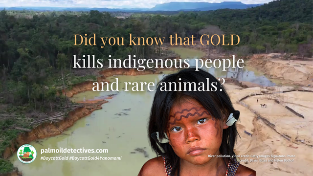 #Gold 🥇🚫 is a controversial commodity because it is unmatched in destruction to #indigenous peoples and #forests. A new study shows how we can end the #ecocide of gold #mining for good! #BoycottGold #BoycottGold4Yanomami @BarbaraNavarro @palmoildetect https://wp.me/pcFhgU-90d?utm_source=mastodon&utm_medium=Palm+Oil+Detectives&utm_campaign=publer