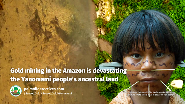 #Gold 🥇🚫 is a controversial commodity because it is unmatched in destruction to #indigenous peoples and #forests. A new study shows how we can end the #ecocide of gold #mining for good! #BoycottGold #BoycottGold4Yanomami @BarbaraNavarro @palmoildetect https://wp.me/pcFhgU-90d?utm_source=mastodon&utm_medium=Palm+Oil+Detectives&utm_campaign=publer