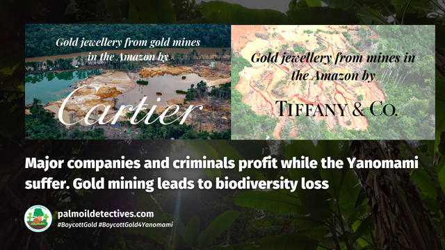 #Gold 🥇🚫 is a controversial commodity because it is unmatched in destruction to #indigenous peoples and #forests. A new study shows how we can end the #ecocide of gold #mining for good! #BoycottGold #BoycottGold4Yanomami @BarbaraNavarro @palmoildetect https://wp.me/pcFhgU-90d?utm_source=mastodon&utm_medium=Palm+Oil+Detectives&utm_campaign=publer