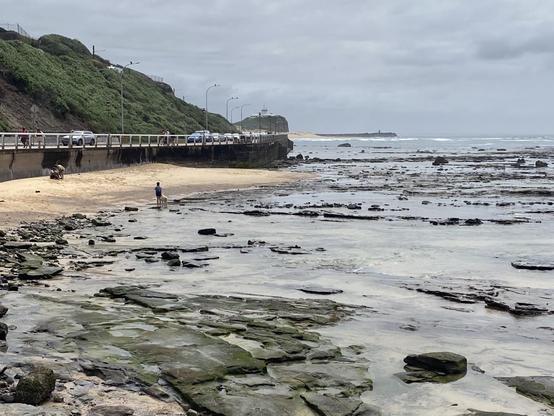 Looking northward over the Cowrie Hole Beach to Nobbys headland and the adjacent harbour breakwater. Lots of rock pools exposed by the tide. This area is also an important sea bird habitat which makes it extra annoying to see so many people letting their dogs roam off leash there (not even meant to be allowed on leash on the beach FFS).