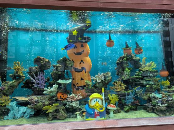A large tropical aquarium outside the Mega Don Quixote store in Nakameguro, Tokyo
Inside is the store mascot in a snorkel and mask, but also a large number of plastic inflatable jack-o'-lanterns. 
The usual aquarium contents of coral first and tropical fish are also present.