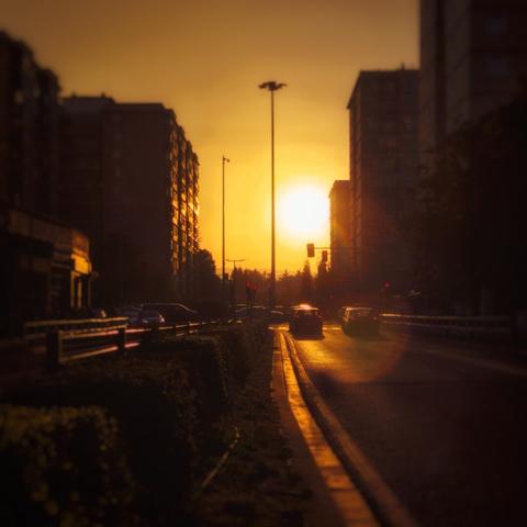 Una carretera entre casa, una farola alta en medio y el sol poniendose entre las casas. Toda la escena tiene luz dorada que perfila los contornos.