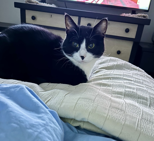 Betty on the Big Bed