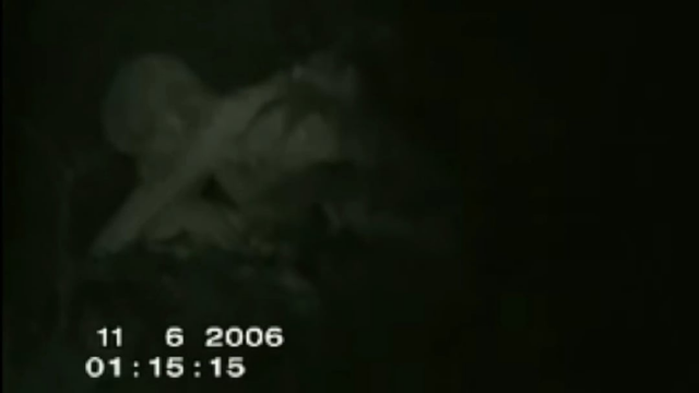 The Creature in the forest!