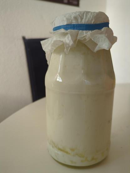 Milk kefir culture in a glass jar.