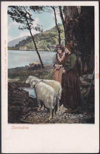 Printed colour postcard showing a view of two young peasant girls with their sheep, presumably from the Canton of Ticino in Switzerland.

Published by Gebrüder Wehrli, Kilchberg, Zürich, No 6365, printed by Louis Glaser, Leipzig, undivided back, c.1900-05.

Postally unused.

Very good condition, with very slight corner bumps.