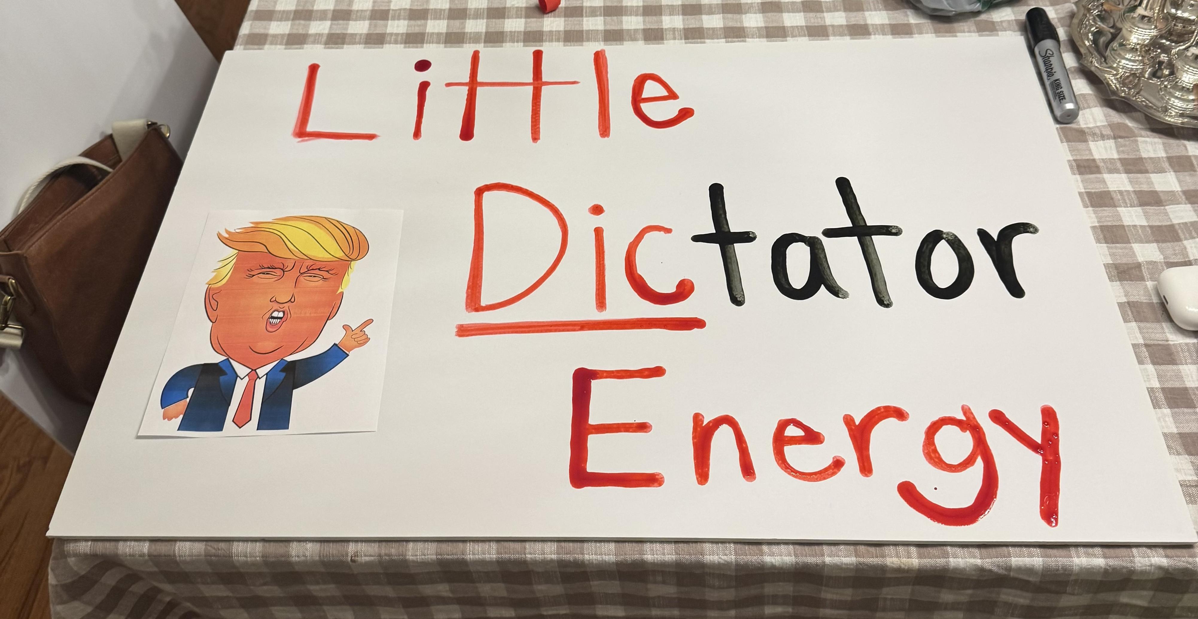 Protest sign reading Little Dick- tator energy