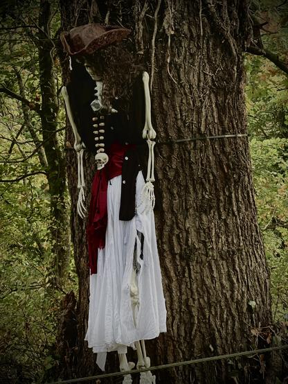 A pirate skeleton impaled on a tree opposite the cottage