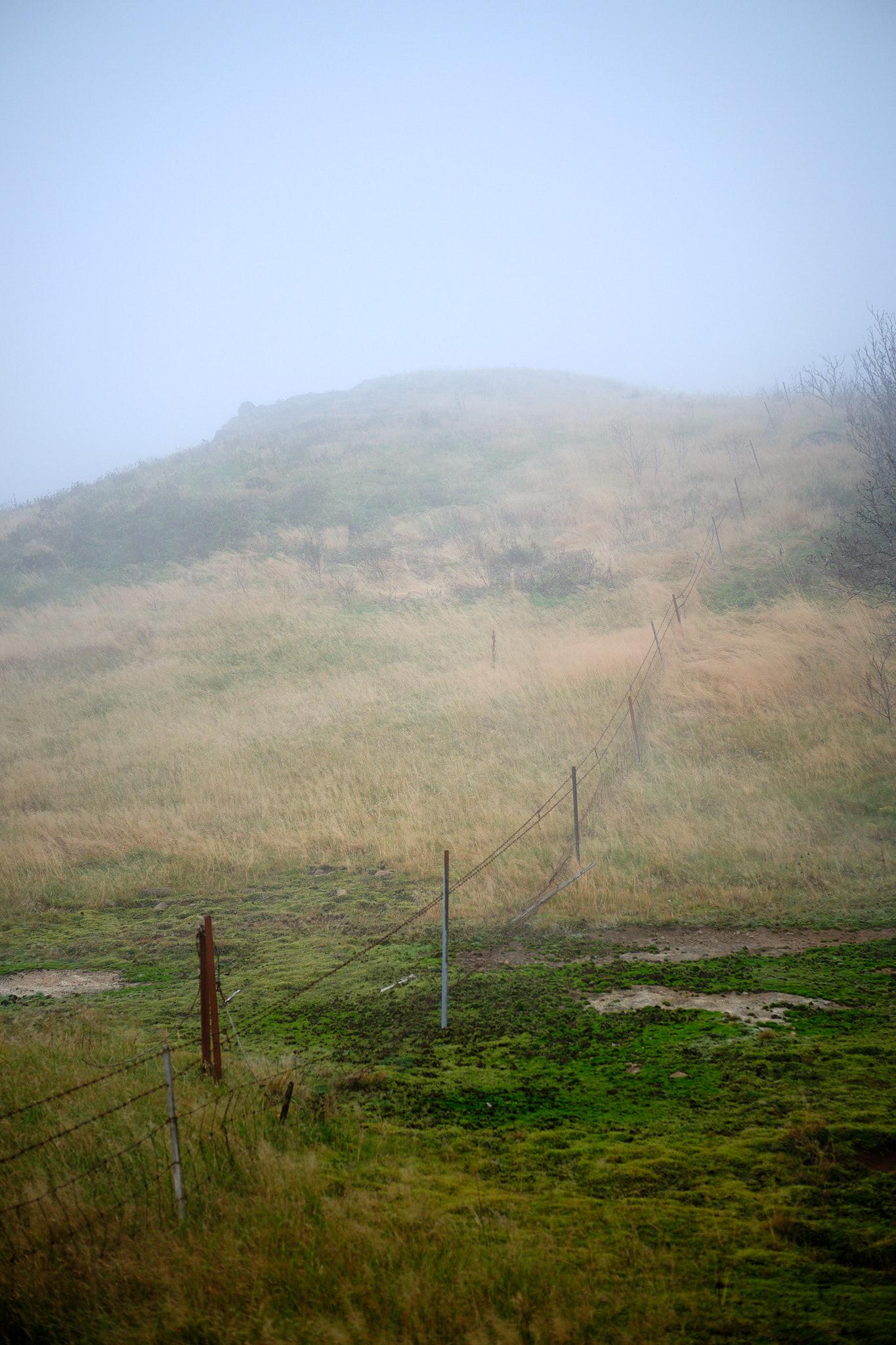 A fenced off geothermal site. The steam off the ground blends seamlessly with the fog.