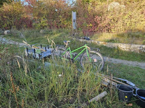 Dasselbe Gespann im Garten