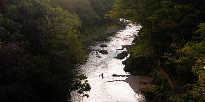 River flowing through a dense forest landscape, surrounded by trees with green and dark foliage. Rocks are scattered in the water, and a person is standing in the river, accentuated by the soft lighting from the setting sun.