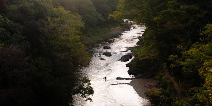 River flowing through a dense forest landscape, surrounded by trees with green and dark foliage. Rocks are scattered in the water, and a person is standing in the river, accentuated by the soft lighting from the setting sun.